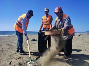Suriye kaynaklı petrol sızıntısının temizlik çalışmaları 16 gündür sürüyor