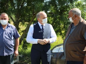 Sarayların vazgeçilmez pirincinin hasadı başlıyor