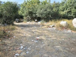 Temiz çevre için çöp topladılar