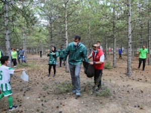 "Çöplerin yeri ormanlar değil"