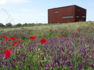 Troya Müzesi’ne Avrupa Müze Akademisi Özel Ödülü