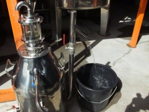 Balıkesir’de 201 belediye başkanı tıbbi ve aromatik bitki tesislerini gezdi