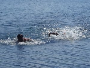 Van Gölü için 2 kilometre yüzdüler