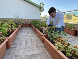 Ülkü Ocakları tarafından başlatılan permakültür eğitimleri sona erdi