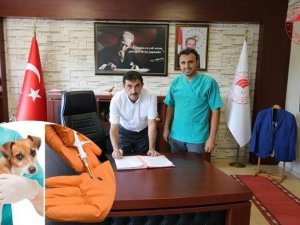 Osmaniye’de kedi, köpek ve gelinciklere mikroçip takılacak