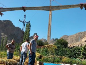 Sular altında kalacak köyde son çeltik hasadı başladı