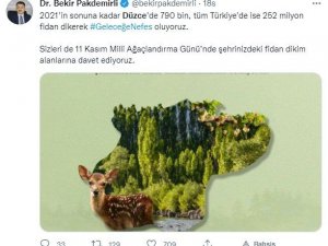 Düzce’de 790 bin fidan toprakla buluşacak