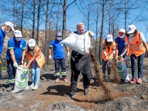 Aladağ’da yanan tarlalara kompost gübre