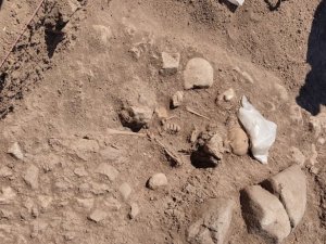 Domuztepe Höyüğü’nde Orta Çağ’da yaşamış çocuğun iskeleti bulundu