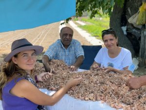 Muğla’nın kadınları Safran ile tanıştı