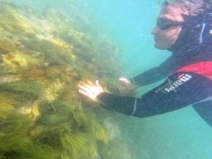 Başkan Dr. Metin Oral, dalış yapıp arkeolojik çalışmaları gözlemledi: