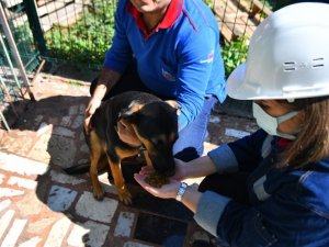 KARDEMİR’den patilere uzanan yardım