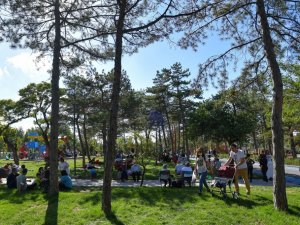 Yılların hasreti bitiyor: Ankaralılar teker teker yeşil alanlara kavuşuyor