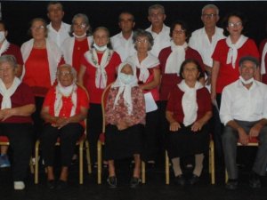 Yaşlı çınarlar, yanan ormanlar için sahneye çıktı