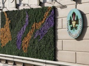 Devlet Bahçeli Kavşağı dikey bahçe ile yeşilleniyor