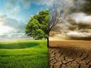 Yeşil Mutabakat fırsata çevrilmeli