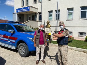 Yaralı şahine jandarma şefkati