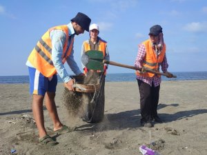 Samandağ sahilinde petrol temizliği sürüyor