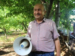 Bahçesine domuz dadanan çiftçi çareyi oyun havalarında buldu