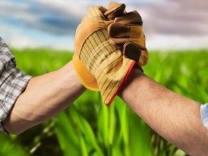 GEKA’dan kooperatif ve birliklere eğitim hizmeti