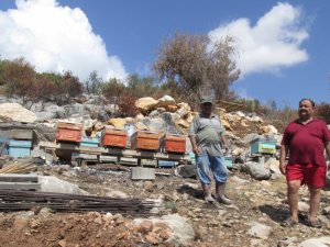 Mersin’de orman yangınlarında zarar gören vatandaşlara hibe desteği