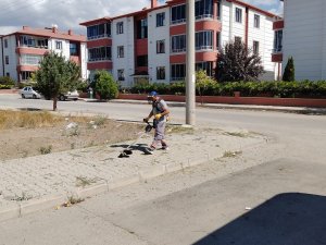 Mahallelerde genel temizlik çalışmaları devam ediyor