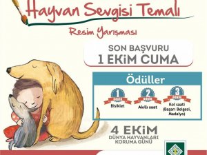 Osmaniye’de ‘Hayvan Sevgisi’ temalı resim yarışması düzenlenecek