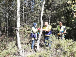 Kütahya’da ağaçlandırma ve bakım çalışması