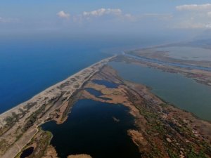 Karacabey longoz ormanlarında sonbahar güzelliği