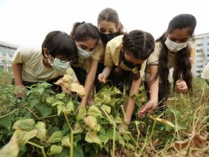 Mini Bostan’da kış hazırlığı