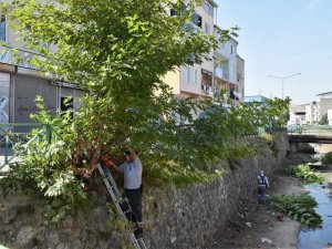 Yıldırım’ın dereleri temizleniyor