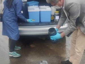 Çöp girecek, gübre çıkacak