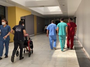 Kartepeli çınarlar yalnız bırakılmıyor