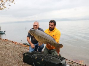 Sapanca Gölü’nde 23 kiloluk sazan yakaladı, sezonun rekorunu kırdı