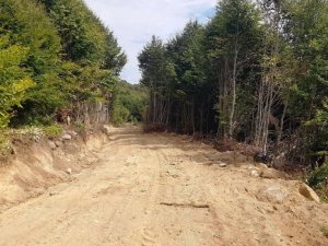 Kütahya’da yeni orman yolları açılıyor