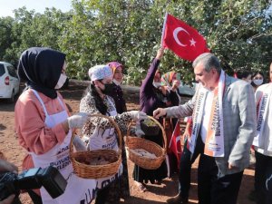 Geleneksel şire şenliğinde renkli görüntüler