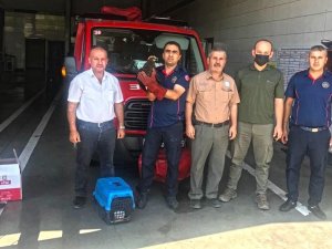 Yaralı bulunan kızıl şahin tedavi altına alındı