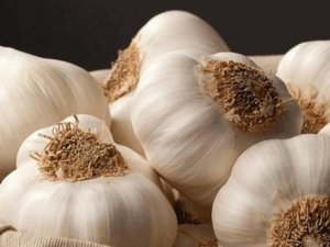 Doğal antibiyotik sarımsağı tüketirken dikkat edilmesi gerekenler