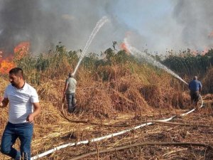 Tatvan’da sazlık alanda yangın
