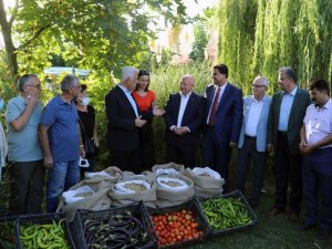 Menteşe’de hasat şenliği