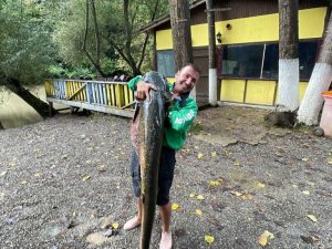 Can sıkıntısıyla çaya attığı oltasına 51 kiloluk dev takıldı