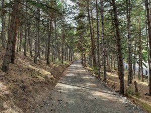 Karaköy Mesire Alanı hizmete açıldı