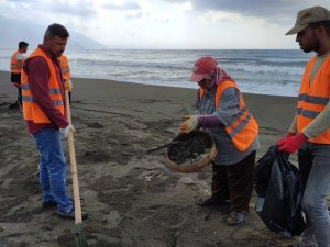 Samandağ’da petrol temizlik çalışmaları devam ediyor