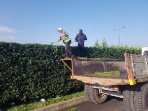 Şehir kışa hazırlanıyor