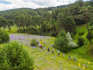 Sivas’ın saklı kalan güzellikleri hayran bırakıyor
