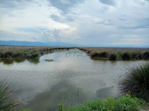 Kaymakamdan muhtarlara ’sulama suyu’ uyarısı: "Suyu fosur fosur akıtma devri bitti"