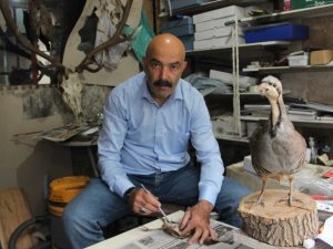 Hobi olarak başladığı tahnitçilik mesleği oldu