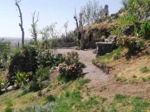 Millet Bahçesi’ndeki kaçak yapılar temizlendi