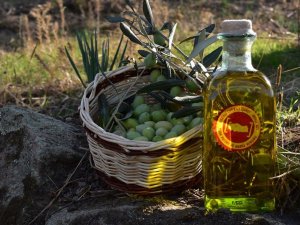 Aydın Memecik Zeytinyağı için Avrupa Birliği serüveni başlıyor