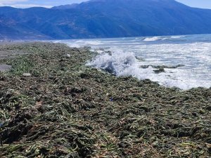 Samandağ sahili yürünemeyecek hale geldi